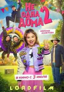 Не одна дома 2